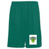 Youth Training Shorts Thumbnail