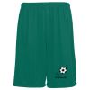 Youth Training Shorts Thumbnail