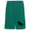 Youth Training Shorts Thumbnail