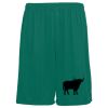Youth Training Shorts Thumbnail