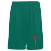 Youth Training Shorts Thumbnail