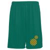 Youth Training Shorts Thumbnail